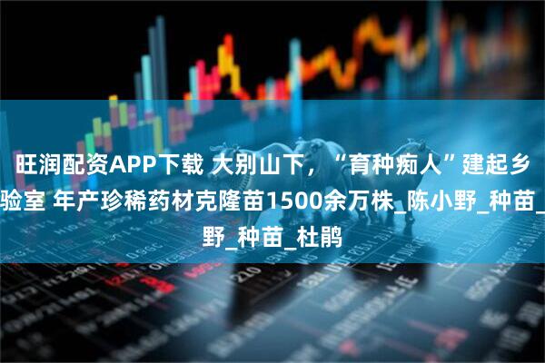 旺润配资APP下载 大别山下，“育种痴人”建起乡村实验室 年产珍稀药材克隆苗1500余万株_陈小野_种苗_杜鹃