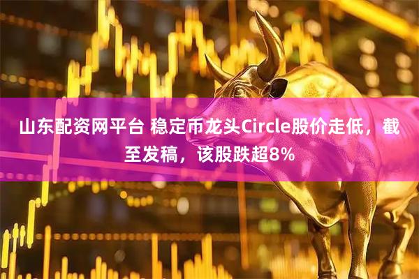 山东配资网平台 稳定币龙头Circle股价走低，截至发稿，该股跌超8%