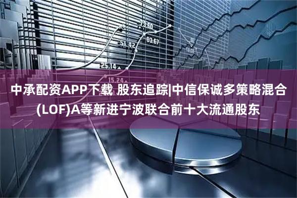 中承配资APP下载 股东追踪|中信保诚多策略混合(LOF)A等新进宁波联合前十大流通股东