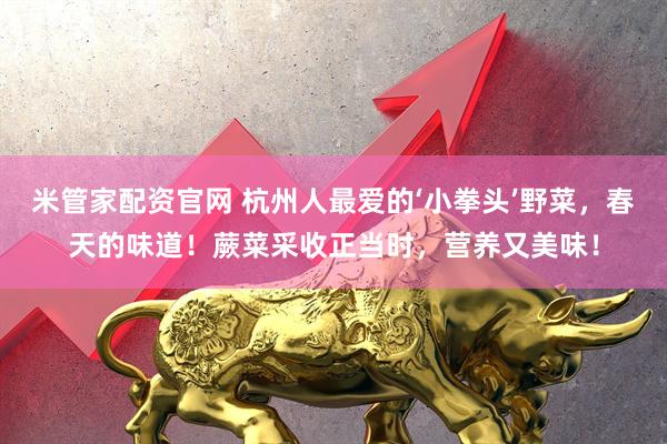 米管家配资官网 杭州人最爱的‘小拳头’野菜，春天的味道！蕨菜采收正当时，营养又美味！